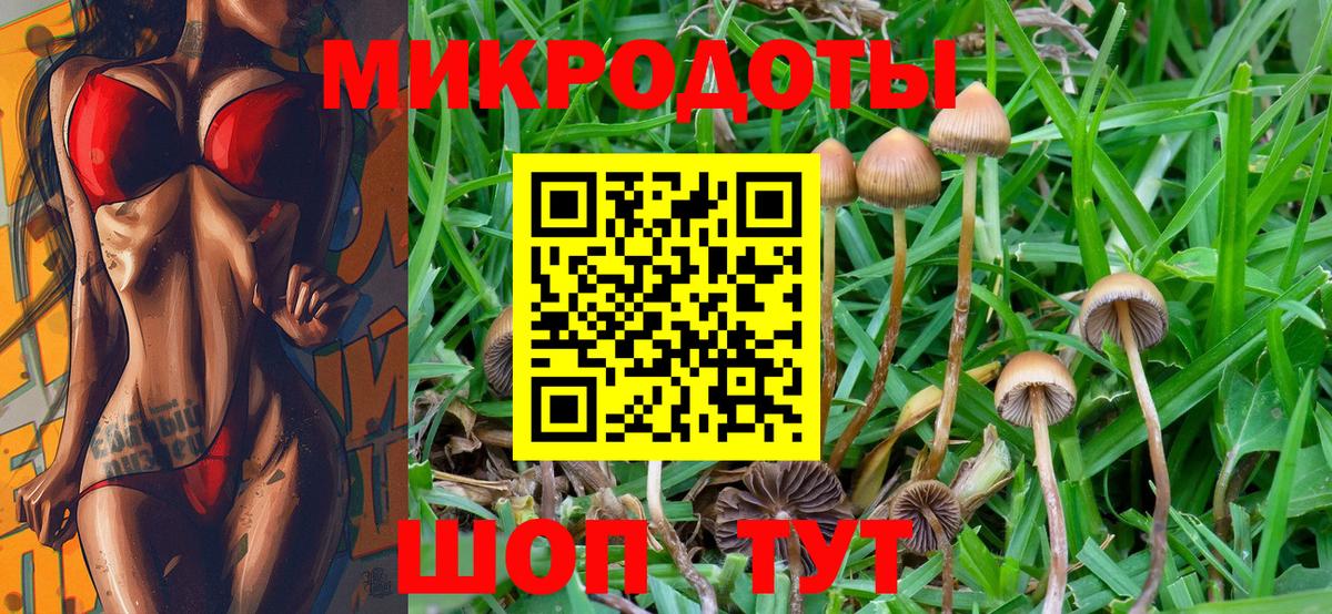 Псилоцибиновые грибы GOLDEN TEACHER Мичуринск