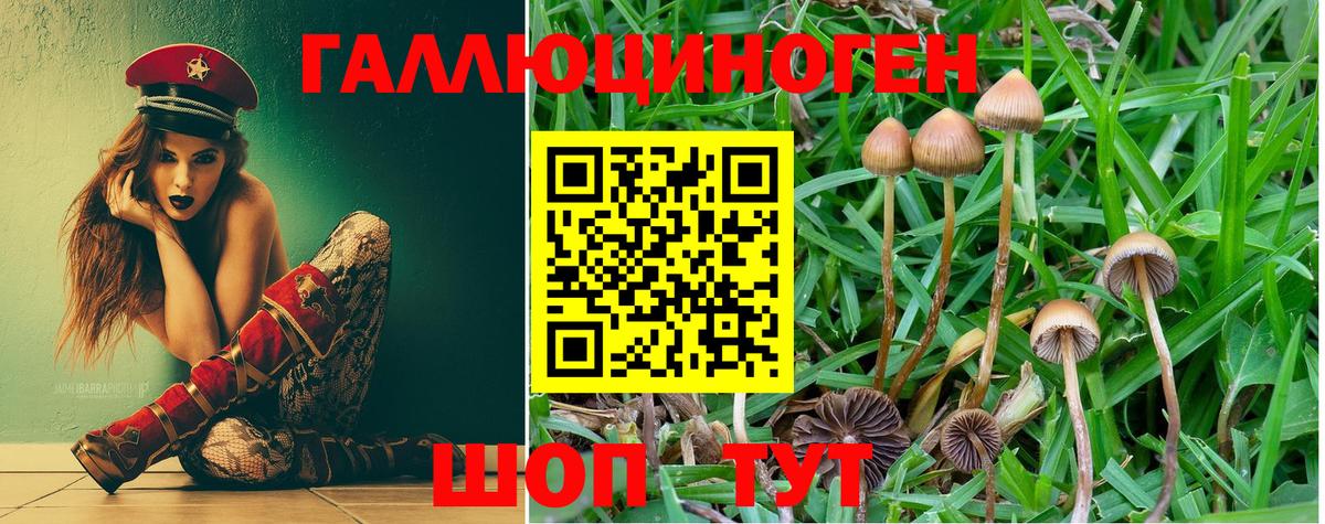 магазин    Вход с VPN  Галлюциногенные грибы Psilocybine cubensis  Мичуринск  Псилоцибиновые грибы ЛСД 